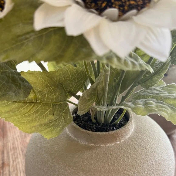 Chic Tan Vase with Sunflower Display - Picture 9 of 9